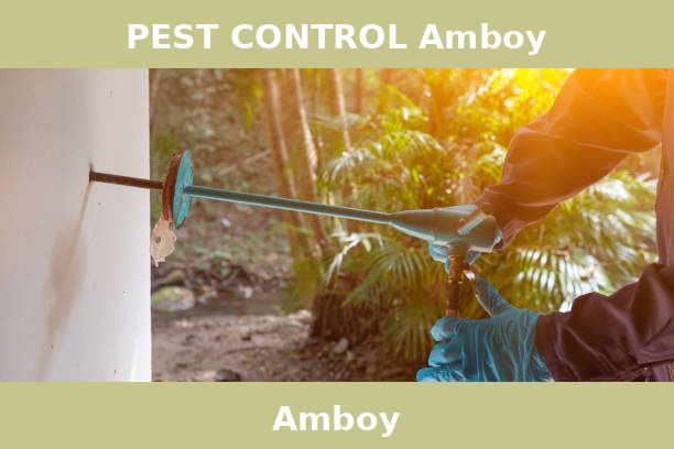 PEST CONTROL Amboy